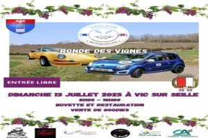 1ère  RONDE DES VIGNES - VIC SUR SEILLE – SALONNES 