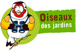 Week-end national de comptage des oiseaux des jardins