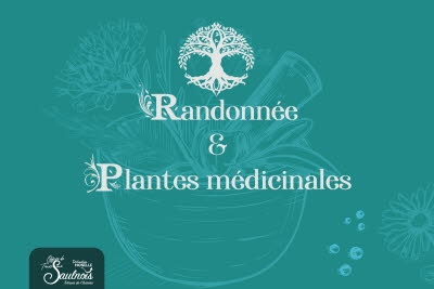 illustration-randonnee-plantes-medicinales_1-1743682745
