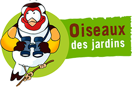 logo chardo