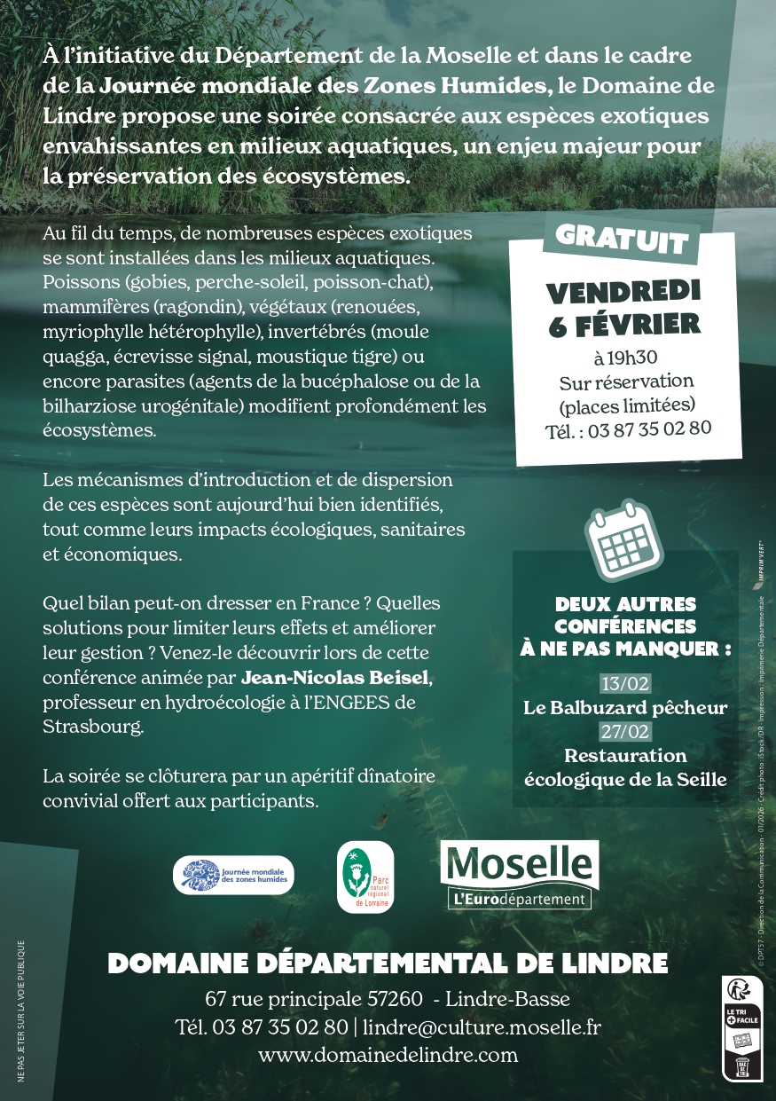 623372808 1315157753983640 2349432764033723516 n