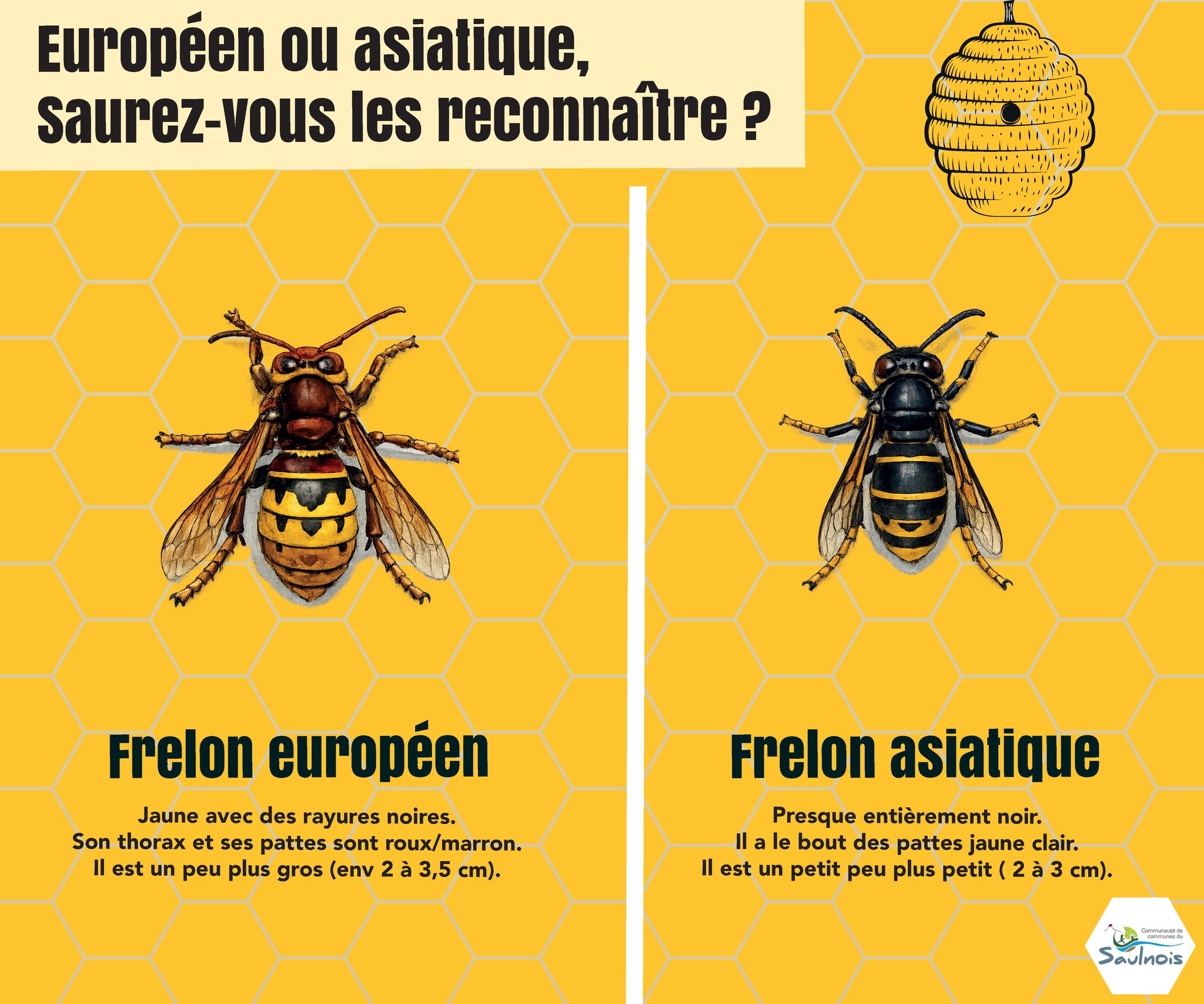 649017908 1214525020882783 2479466578481551991 n