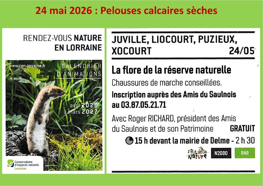26_2005_2024_20Cote_20de_20Delme