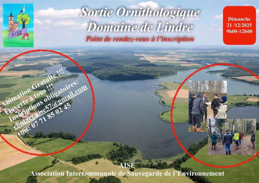 595148172_873131845658707_2981686842348275173_n