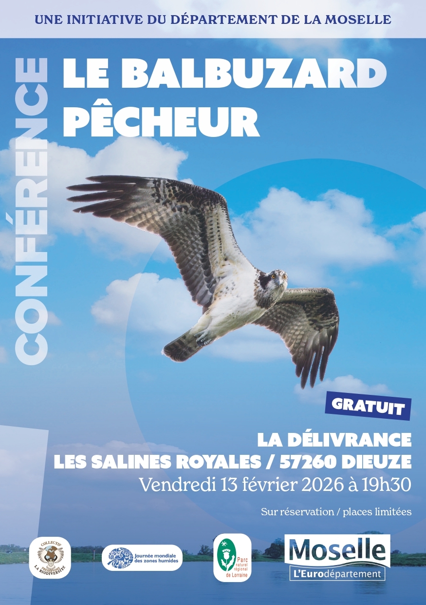 623221141_1315151507317598_8656665492765475318_n