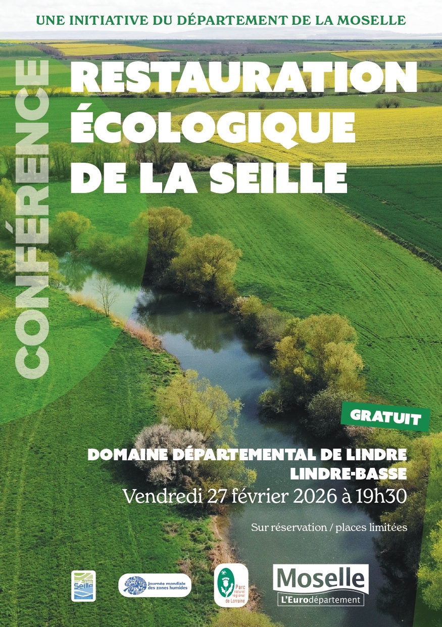 624355620_1610957133788979_1473995832107948084_n