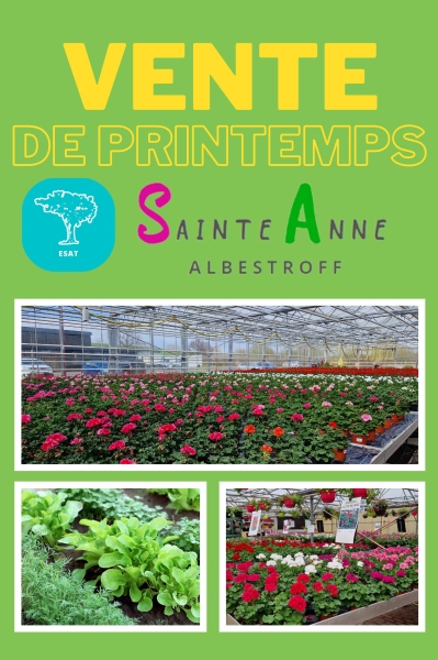 641662672_1531515888976757_5364518728503839974_n