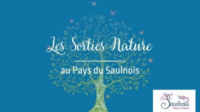 illustration-rencontre-intime-avec-la-grue-cendree_1-1747649775